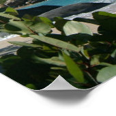 Britische Jungfrauen, Gorda, The Baths Beach Poster (Ecke)