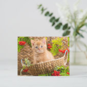 Britische Kätzchen in einem Korb mit Berg Postkarte (Stehend Vorderseite)