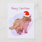 Britische Katze. Santa Katze. Weihnachtspostkarte Feiertagspostkarte (Vorderseite)