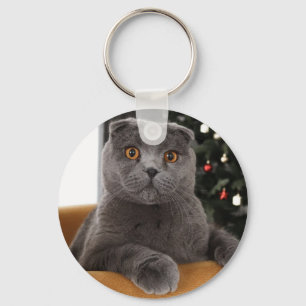 Britische Katze und Weihnachtsbaum Schlüsselanhänger