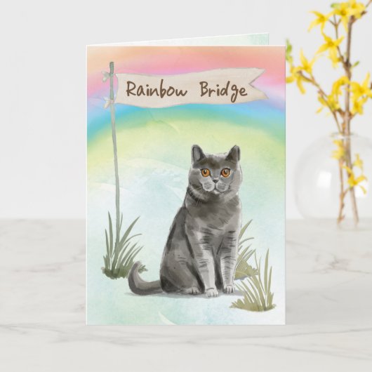 Britische Kurze Haarkatze Beileid über Regenbogen Karte (Gelbe Blume)