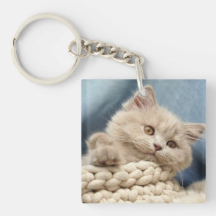 Britische Kurzhaar, Kitten, Haustier Schlüsselanhänger