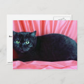 Britische Kurzhaar, schwarzer Rauch Postkarte (Vorne/Hinten)