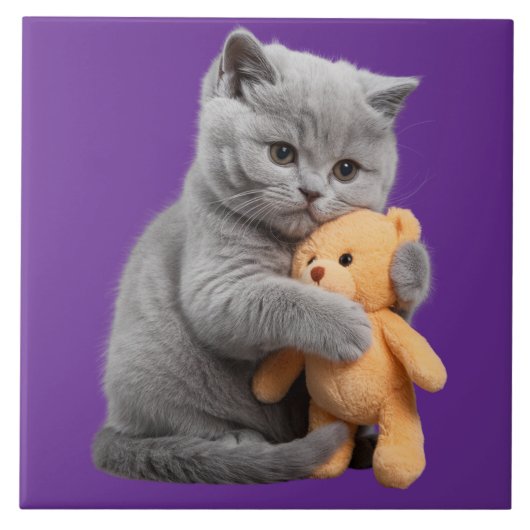 Britische Kurzhaar und Teddybär-dekorative Tile Fliese (Vorderseite)