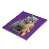 Britische Kurzhaar und Teddybär-dekorative Tile Fliese (Seite)