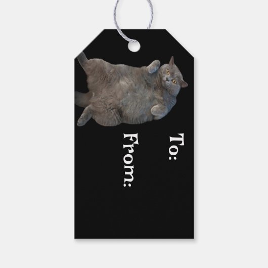 Britische Kurzkatze auf der Rückseite Geschenkanhänger (Vorderseite)