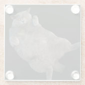 Britische Kurzkatze auf der Rückseite Glasuntersetzer (Rückseite)
