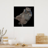 Britische Kurzkatze auf der Rückseite Poster (Küche)