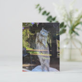 Britische Kurzkatze im Fenster Postkarte (Stehend Vorderseite)