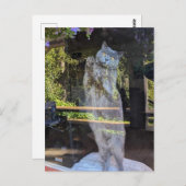 Britische Kurzkatze im Fenster Postkarte (Vorne/Hinten)