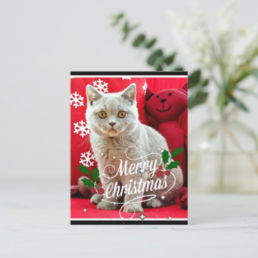 Britische Kurzkatze, Weihnachtsgrüße Postkarte (Stehend Vorderseite)