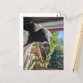 Britische Kurzreflektion im Window-Foto Postkarte