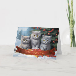Britische Kurzzeitkitten Weihnachtskarte Dankeskarte