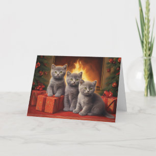 Britische Kurzzeitkitten Weihnachtskarte Dankeskarte