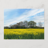 Britische Landschaft Postkarte (Vorderseite)