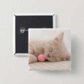 Britische Shorthair Katze Button (Vorne & Hinten)
