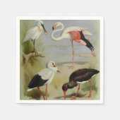 Britische Vögel, Kunstdarstellungen Serviette (Vorderseite)