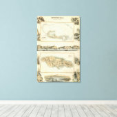 Britische Westindische Possessions Leinwanddruck (Insitu (Holzboden))