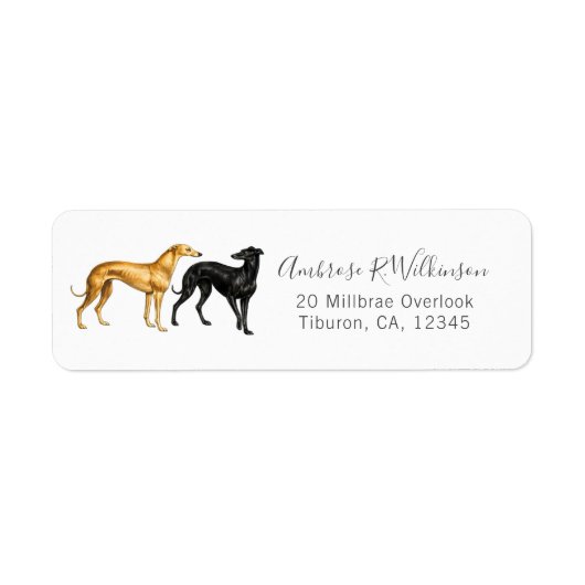 Britische Windhunde Waterloo Cup 1877 Fine Art (Vorne)