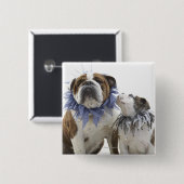 Britischer Bulldog und Welpe mit Halsband, Button (Vorne & Hinten)