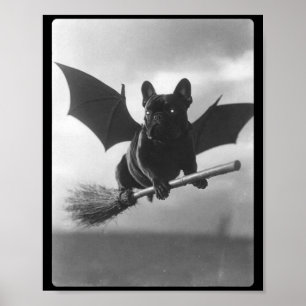Britischer Bulldoggen-Hexenbesen-Fledermausflügel Poster