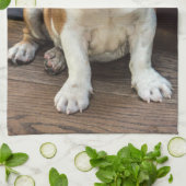 Britischer Bulldoggenwelpe Handtuch (Gefaltet)