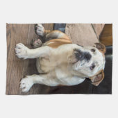 Britischer Bulldoggenwelpe Handtuch (Horizontal)