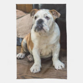 Britischer Bulldoggenwelpe Handtuch (Vertikal)