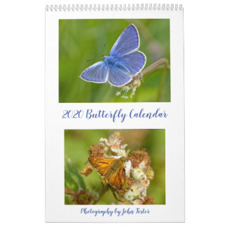 Britischer Butterflies-Kalender 2020 Kalender