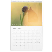Britischer Butterflies-Kalender 2020 Kalender (Mär 2027)