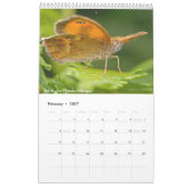 Britischer Butterflies-Kalender 2020 Kalender (Feb 2027)