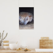 Britischer gepunkteter Ponydruck Poster (Küche)