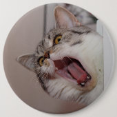 britischer Kurzhaar Button (Vorderseite)