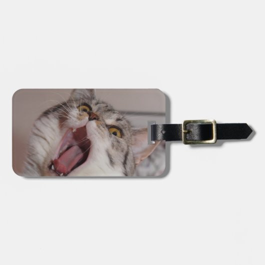 britischer Kurzhaar Gepäckanhänger (Vorderseite horizontal)