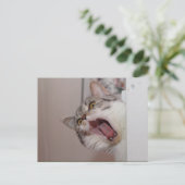 britischer Kurzhaar Postkarte (Stehend Vorderseite)