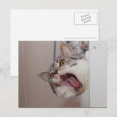 britischer Kurzhaar Postkarte (Vorne/Hinten)