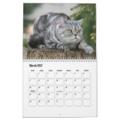 Britischer Kurzzeitkalender Kalender (Mär 2027)