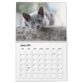 Britischer Kurzzeitkalender Kalender (Jan 2027)