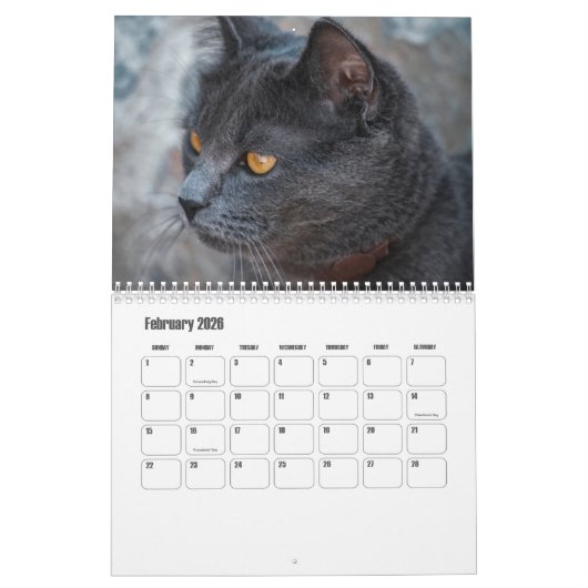 Britischer Kurzzeitkalender Kalender (Feb 2026)