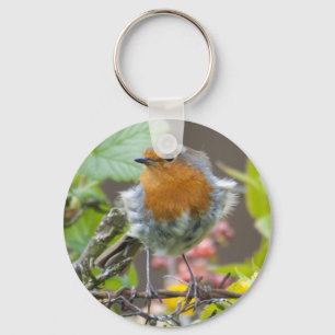 Britischer Robin im Frühlings-Schlüsselanhänger Schlüsselanhänger