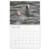 Britischer Wasservogel-Kalender 2014 Kalender (Jan 2026)