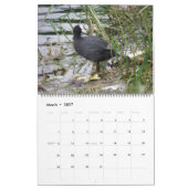 Britischer Wasservogel-Kalender 2015 Kalender (Mär 2027)