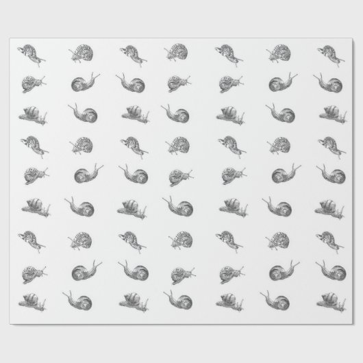 Britisches Snail-Design Geschenkpapier (Flach)
