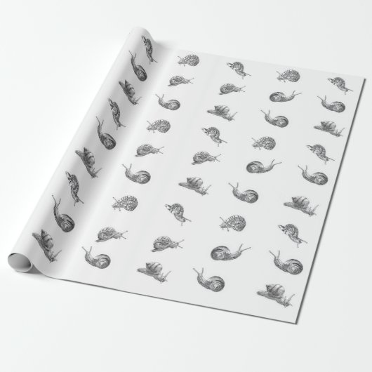 Britisches Snail-Design Geschenkpapier (Ungerollt)