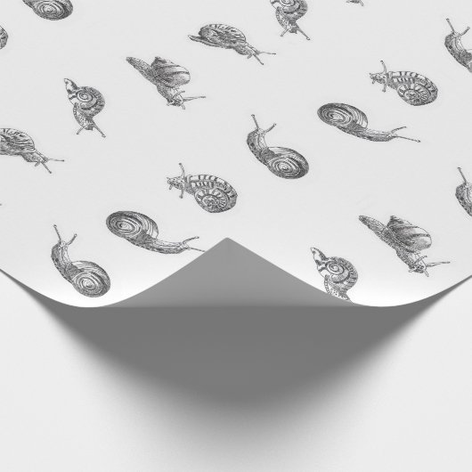 Britisches Snail-Design Geschenkpapier (Ecke)