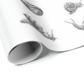 Britisches Snail-Design Geschenkpapier (Rolleneckpunkt)