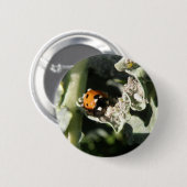 British 7 Spot Ladybug Button (Vorne & Hinten)