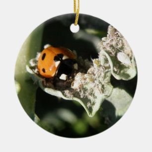 British 7 Spot Ladybug Custom Geburtstag Keramik Ornament