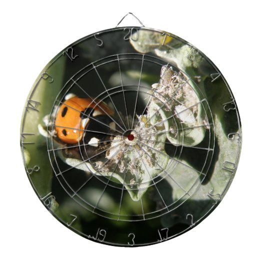 British 7 Spot Ladybug Dart Board Dartscheibe (vorne)