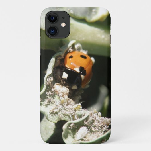 British 7 Spot Ladybug iPhone 3 Fall Case-Mate iPhone Hülle (Rückseite)